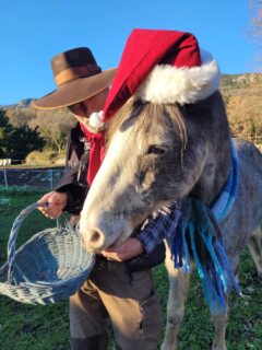 To all my Friends and Clients out there, I wish you a very merry Christmas and a happy New Year. See you soon 🐎🤠🍀🎄